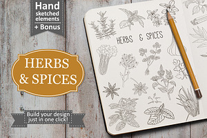 Herbs and spices collection