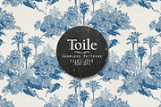 Toile. Patterns, a Pattern Graphic by Irina Dolgikh (Thumbnail 1 of 14)
