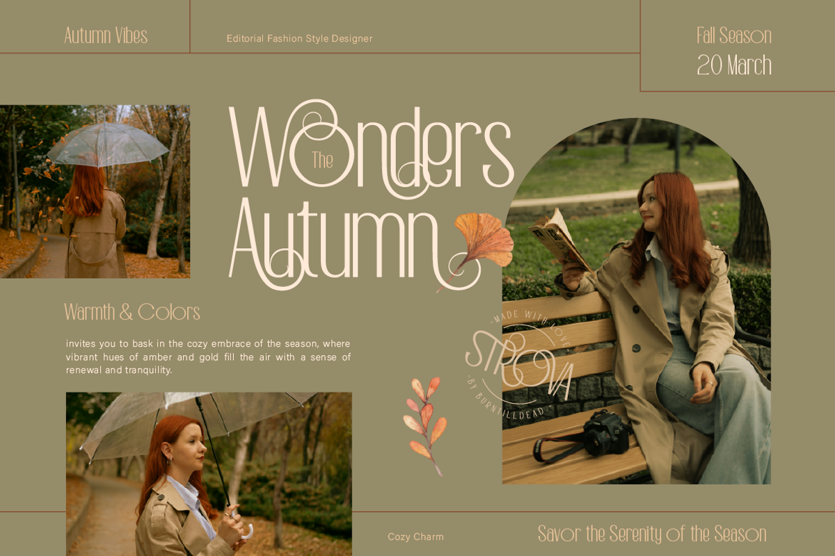 Strova, a Sans Serif Font by Burntilldead (Photo 5 of 12)