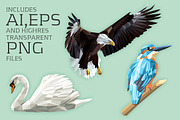 3 Birds Polygon Style, an Animal Illustration by nordicworker (Thumbnail 2 of 5)
