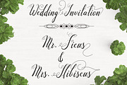Santa Rose Script, a Script Font by Royaltype (Thumbnail 4 of 10)