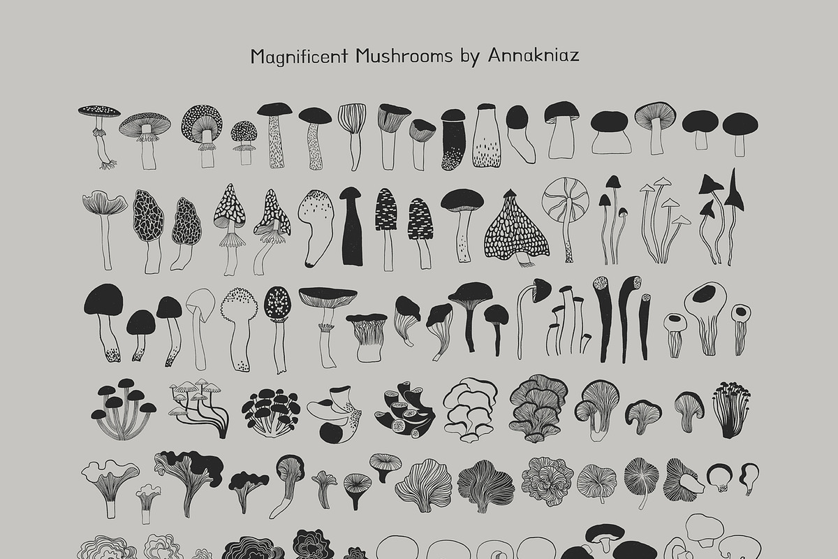 Magnificent Mushrooms, a Food Illustration by Annakniaz (Photo 13 of 15)