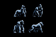 Gorillas vector set, an Animal Illustration by Masterlevsha (Thumbnail 1 of 3)