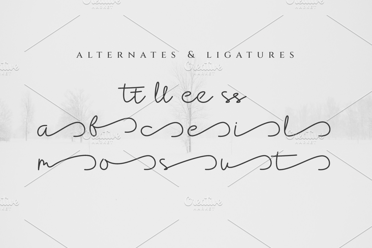 Cantika Signature Script Font, a Script Font by Artiveko (Photo 3 of 10)