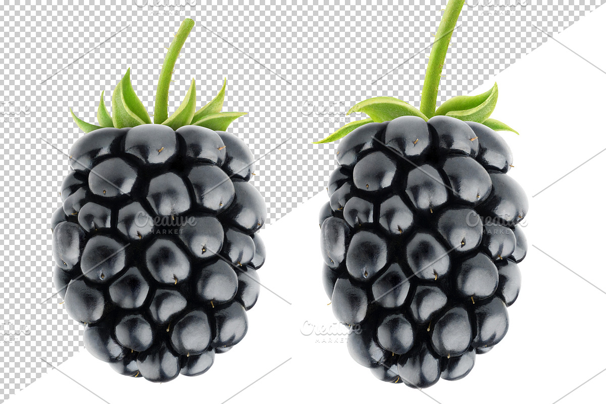 Blackberries with stems preview 2