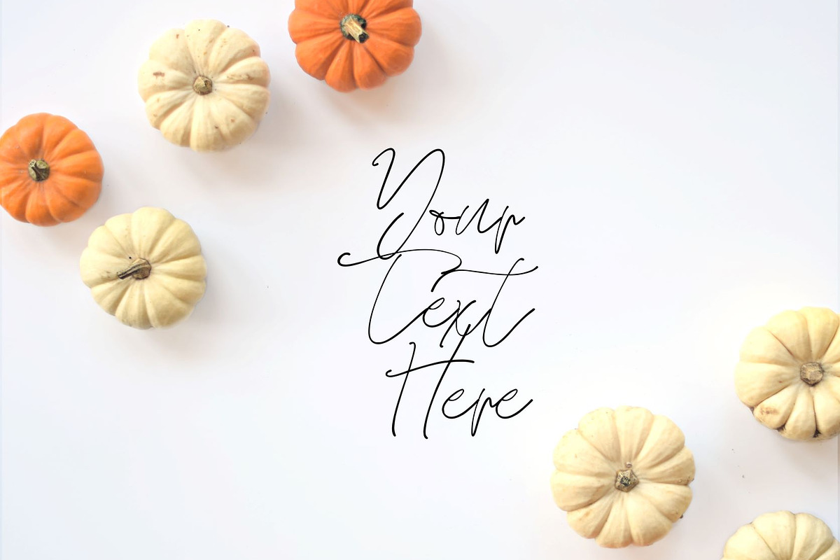 Fall pumpkin stock photo containing fall flat lay, fall stock photo, and, a Holiday Photo by SLS Design Co. (Photo 1 of 2)