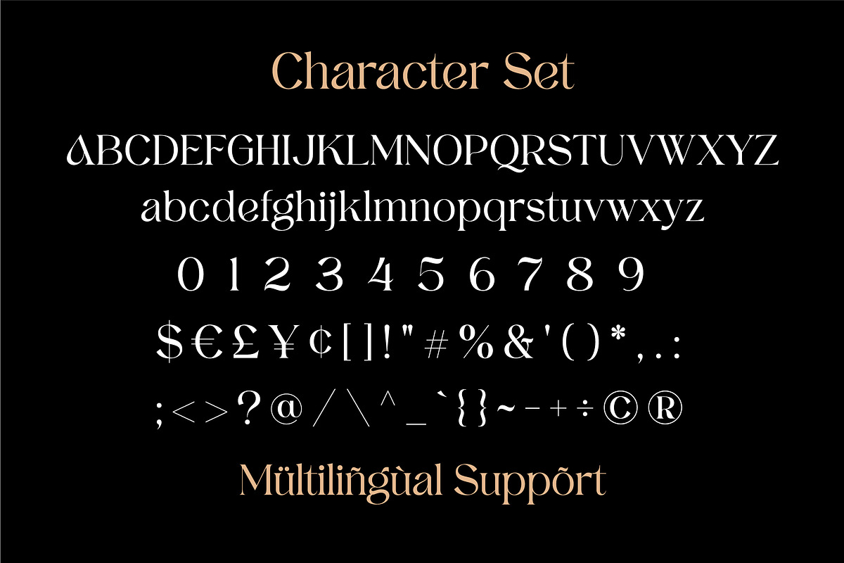 Darrell Rolando - Display Font, a Serif Font by Grezline Studio (Photo 12 of 13)