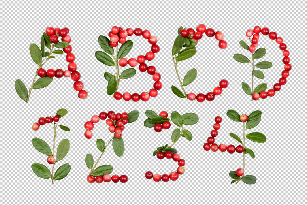 Cowberry Font, a Font by Handmadefont (Photo 8 of 8)