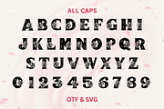 Daisyfolk - Floral Decorative Font, a Serif Font by AnningArts (Thumbnail 6 of 7)