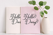 Dealissha script, a Script Font by Alandya TypeFoundry (Thumbnail 5 of 8)