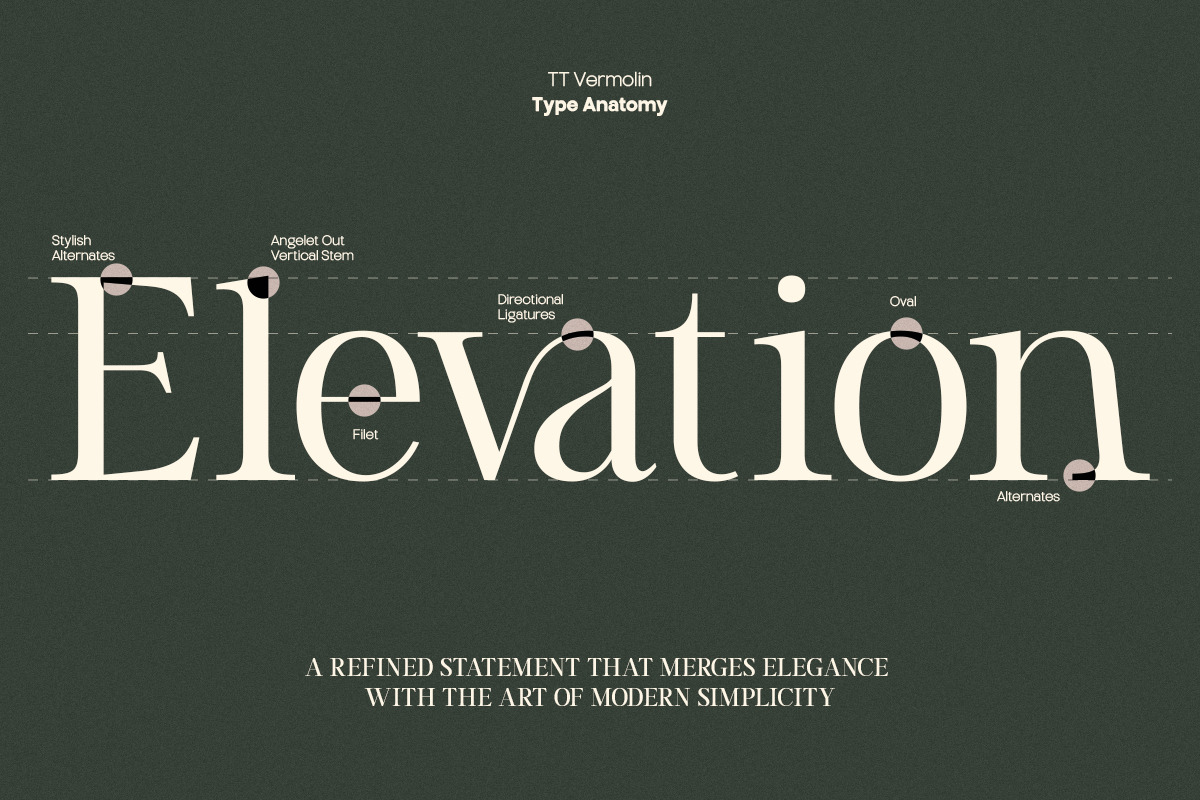 TT Vermolin — Modern Classy Serif, a Serif Font by truetype (Photo 10 of 15)