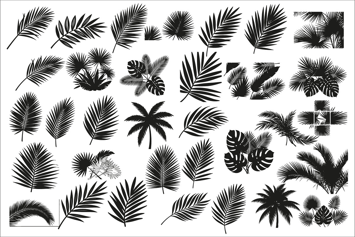 Stylish tropical palm wall decor, an Illustration by Amazin_art (Photo 1 of 33)
