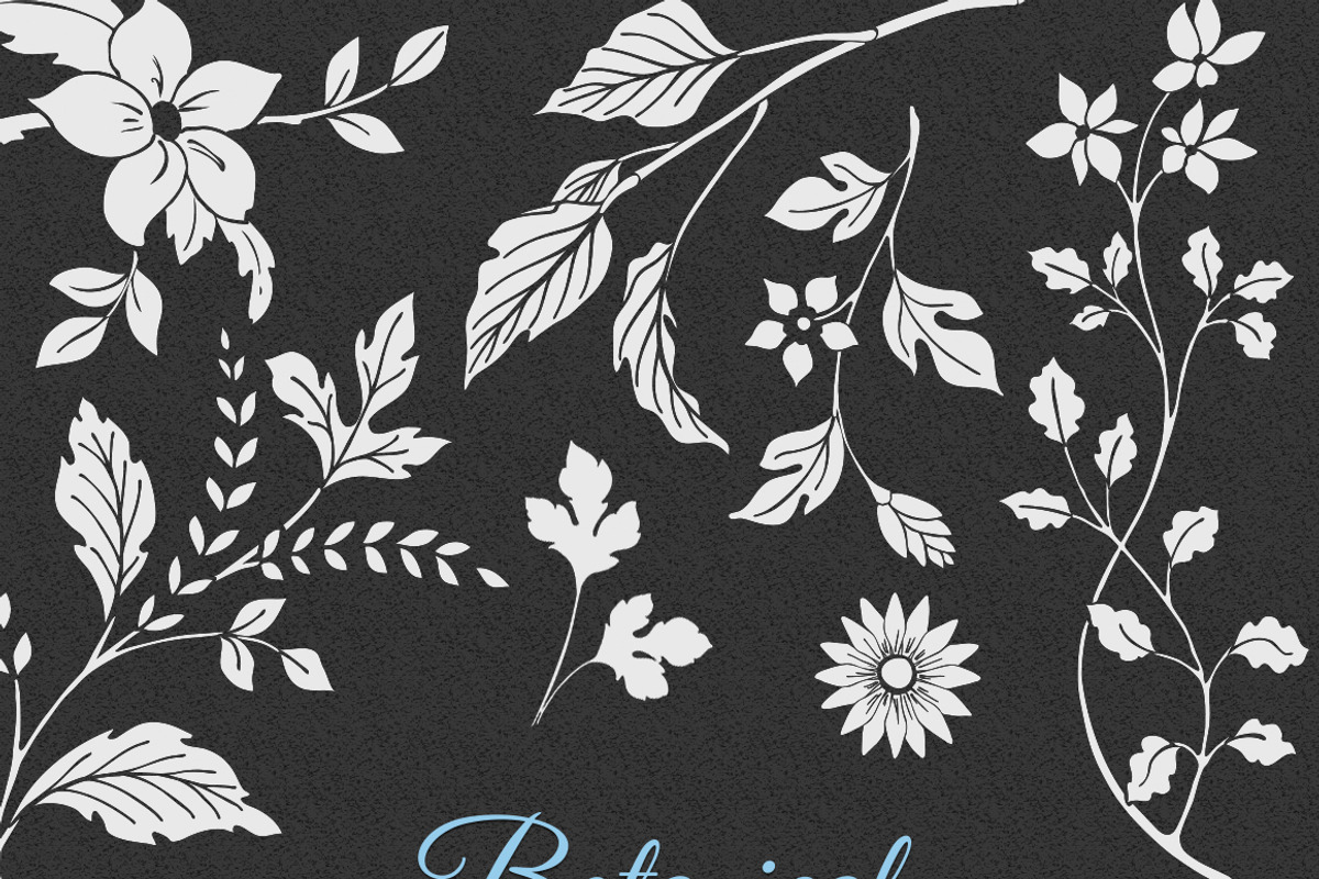 Hand Drawn Botanical Vector Elements, an Illustration by Solana (Photo 5 of 5)