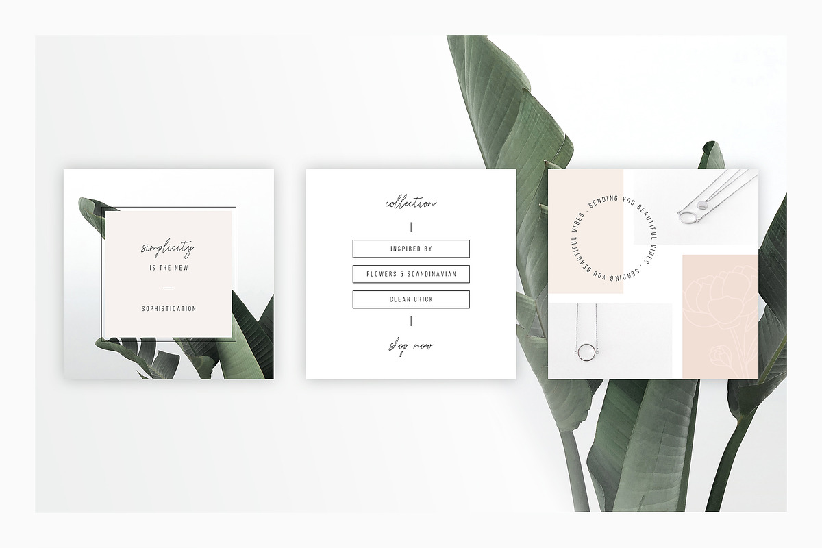 ANIMATED Instagram Posts – Peony, a Social Media Template by AgataCreate (Photo 5 of 13)