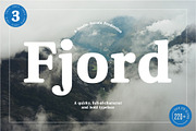 Fjord - Soft Fat Serif Font, a Serif Font by Studio Aurora (Thumbnail 1 of 10)