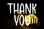 Miracle Ghost, a Serif Font by FreshTypeINK (Thumbnail 5 of 8)
