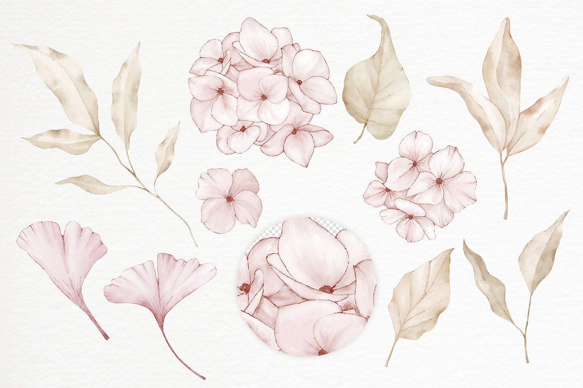Hydrangea Daisy Flowers Pattern, an Illustration by PawGraphic (Photo 2 of 10)