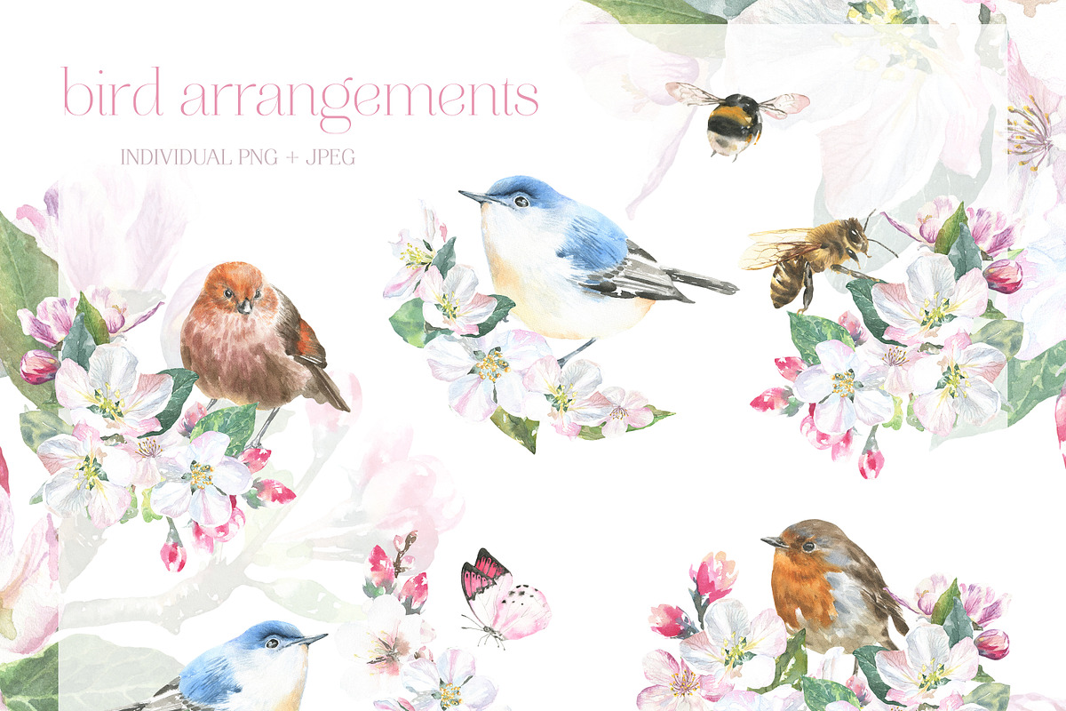 Watercolor Spring Birds Robin, an Illustration by Catherine Wheel (Photo 3 of 11)