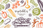 Vegetables. Hand drawn collection., a Food Illustration by natadanko (Thumbnail 1 of 7)