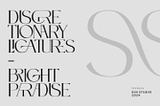 Brighter Paradise, a Serif Font by din-studio.com (Thumbnail 8 of 15)