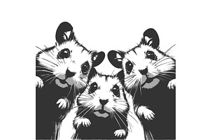 Curious Hamsters engraving vector, an Animal Illustration by AlexArt