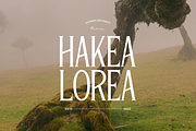 Arakiya | Unique Condensed Serif, a Serif Font by Denustudios (Thumbnail 6 of 15)