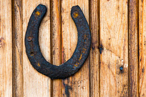 Old rustic horseshoe on wooden wall, a Nature Photo by Vapi