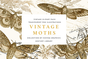 Gold Vintage Moths Illustration Pack