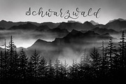 Winter Tree Procreate Stamps, a Brush Add-On by buntegalerie (Thumbnail 3 of 3)
