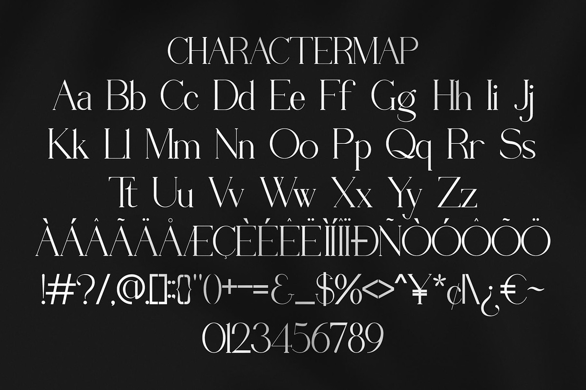 Digholl || Modern Minimalist Serif, a Serif Font by Ermedia Studio (Photo 10 of 10)