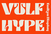 Emiken Display, a Serif Font by Attract Studio (Thumbnail 6 of 17)