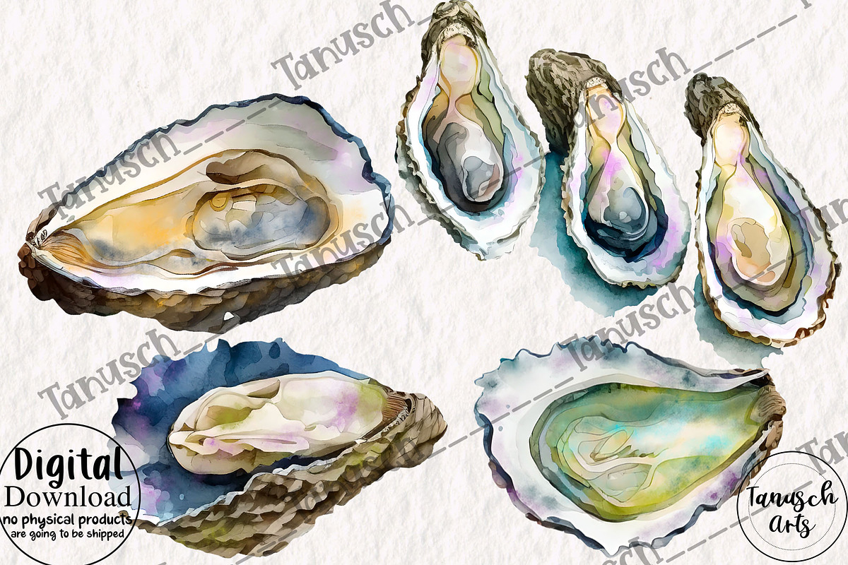 Watercolor oysters clipart, a Food Illustration by TanuschArts (Photo 3 of 5)