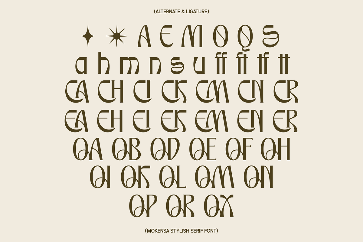 Mokensa decorative serif display, a Serif Font by BumbleGraph Studio (Photo 6 of 7)