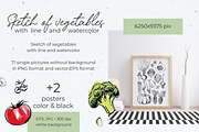 Vegetables vector sketch watercolor, a Food Illustration by irina.vaneeva (Thumbnail 16 of 18)