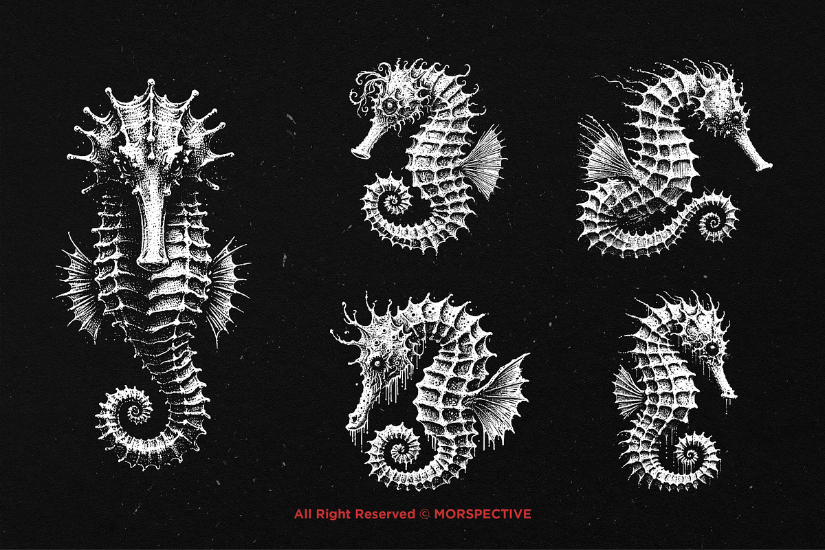 10 Bundle Dark Art Seahorse Sea, an Illustration by Morspective (Photo 3 of 7)