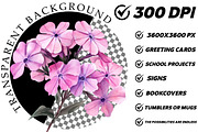 Wildflower Watercolor Flower Clipart, an Illustration by DreamCafeArt (Thumbnail 8 of 8)