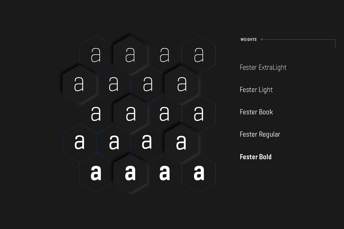 Fester, a Font by Fontfabric (Photo 2 of 5)