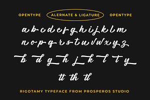 Rigotamy - Script Font