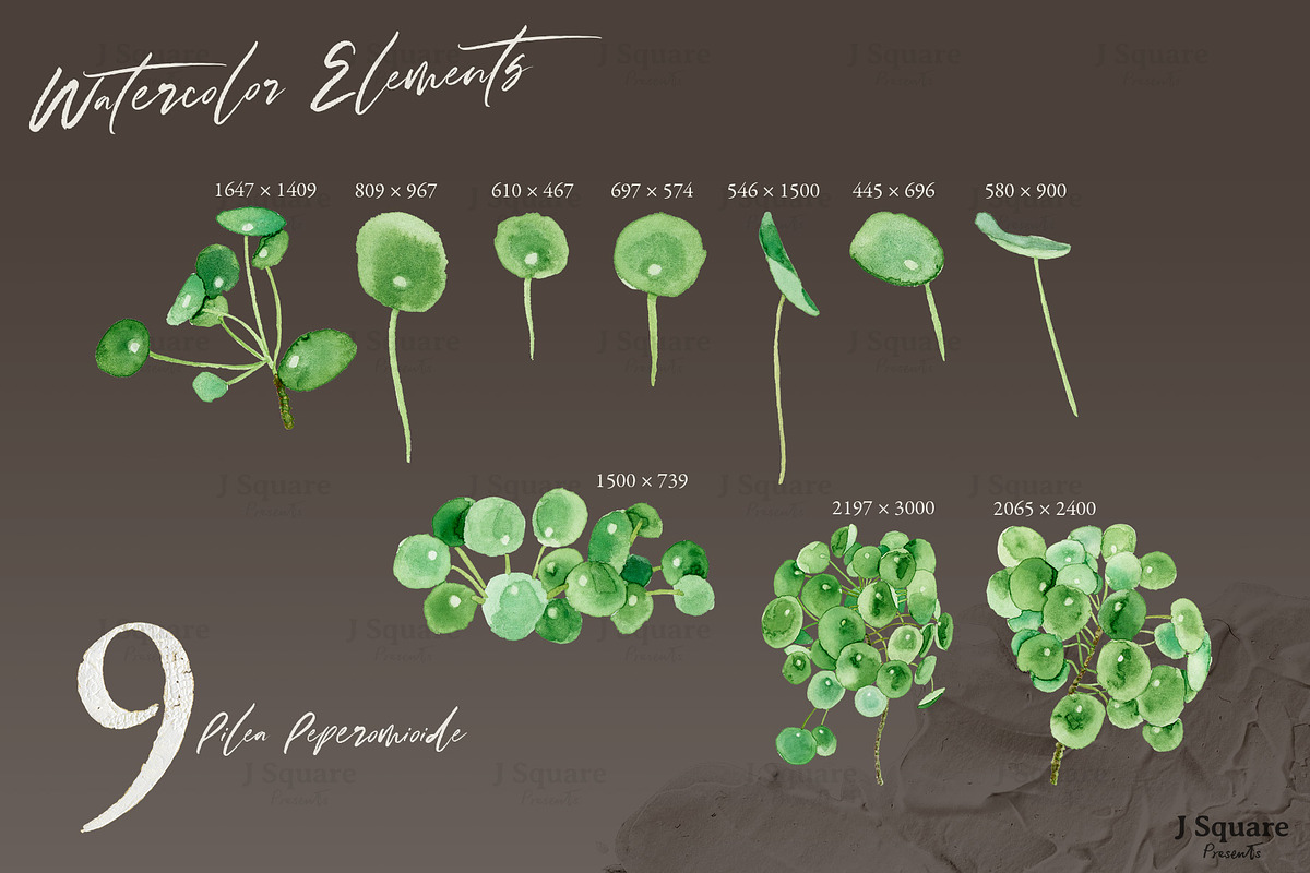 Modern Plants Design Kit, an Object Graphic by JSquarePresents (Photo 12 of 18)