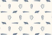 10 Hand Drawn Seashell + 5 Patterns, an Object Illustration by Storyteller Imagery (Thumbnail 6 of 7)