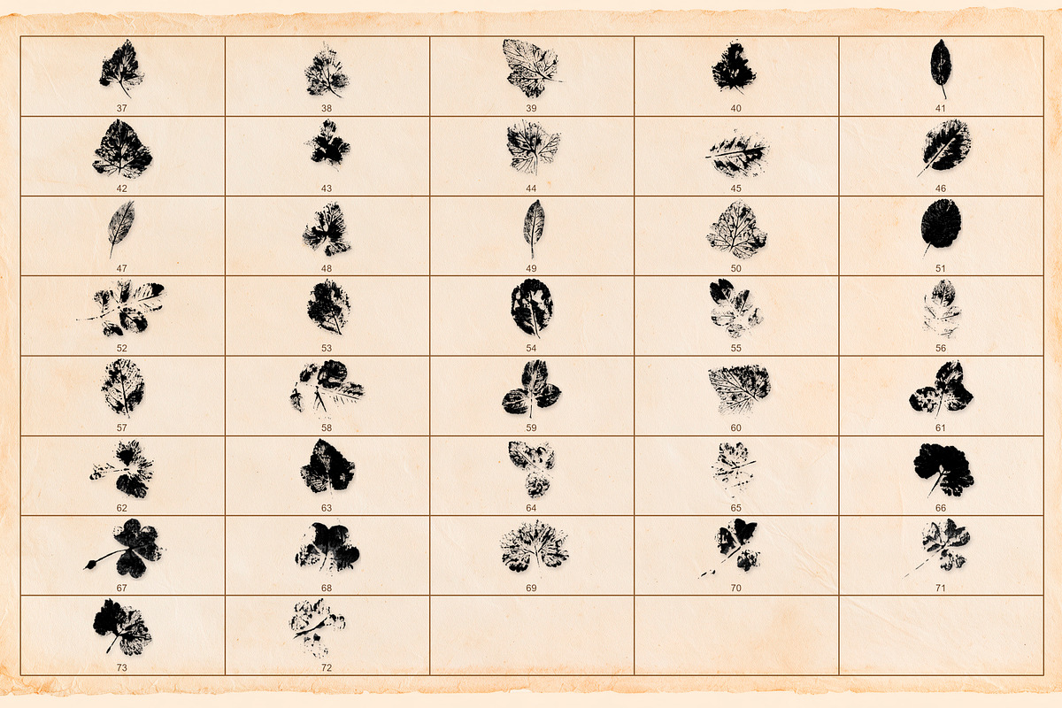 Hand-crafted Herbal Imptints, an Object Graphic by Dervik Art Store (Photo 8 of 10)