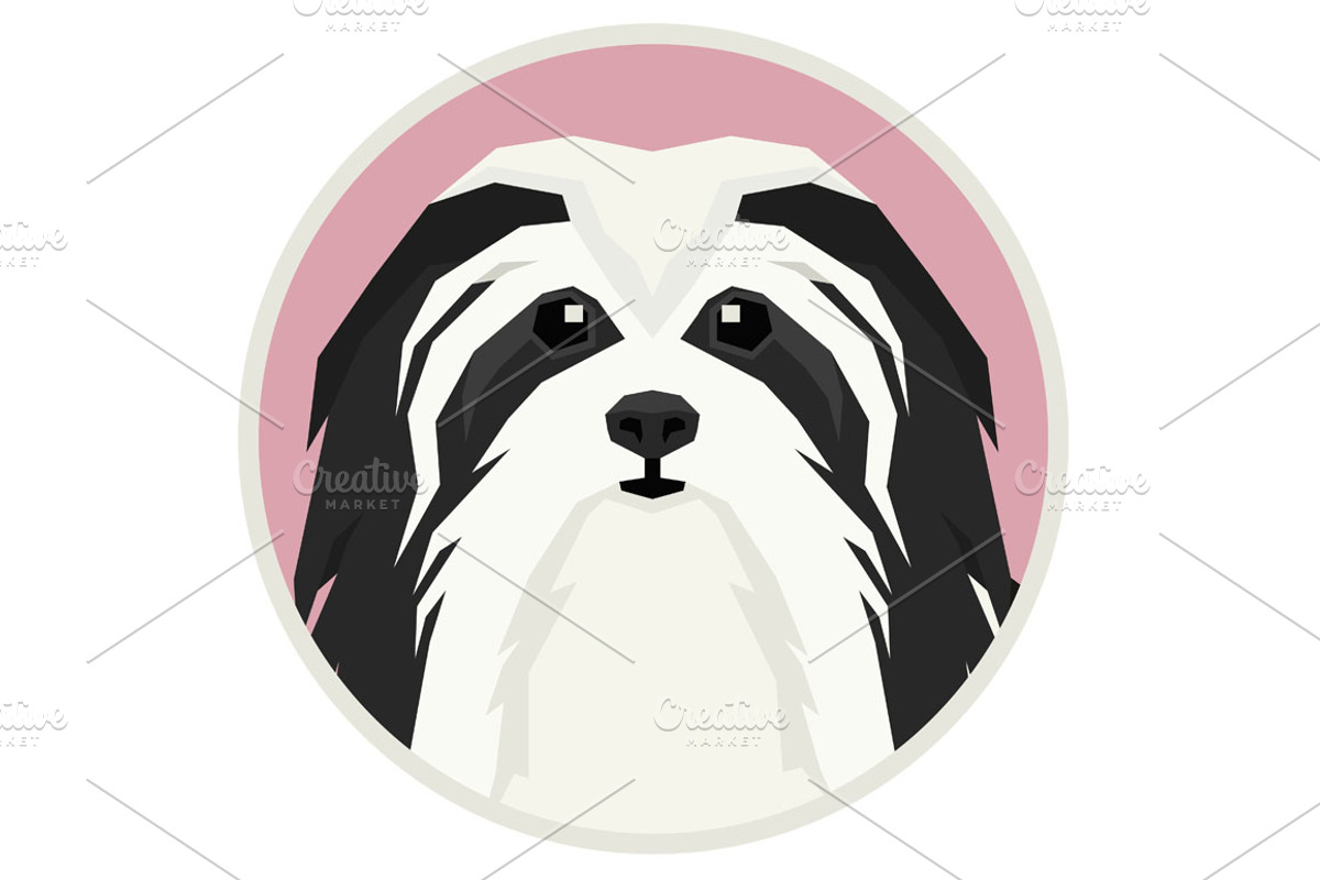 Dog breeds Havanese Dog, an Animal Illustration by Nenilkime (Photo 3 of 3)
