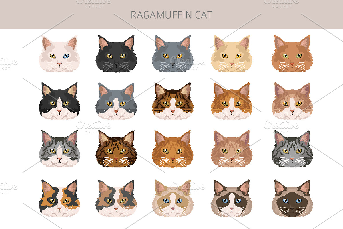 Ragamuffin cat clip art, an Animal Illustration by pet design shop (Photo 4 of 5)