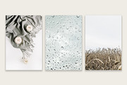 Autumn Bundle 3, a Beauty & Fashion Photo by Floral Deco (Thumbnail 4 of 9)