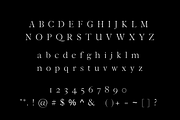 Delores - A Modern Serif Font, a Serif Font by blackdahliapress (Thumbnail 4 of 4)