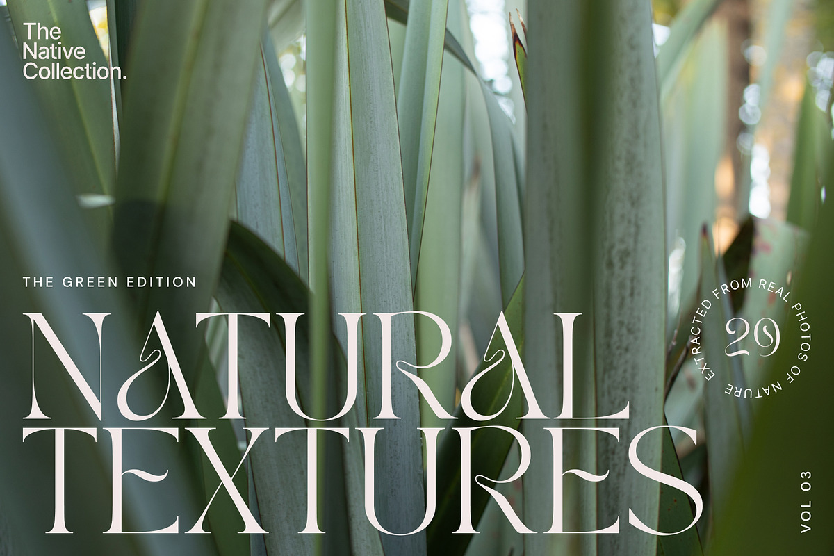 Natural textures - Green edition v03, a Texture Graphic by Haehae photography (Photo 1 of 8)