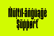 Garth Brooks Font Family, a Font by Ryan Prasetya (Thumbnail 6 of 12)
