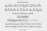 Hand Written Font Trio Serif Script, a Handwritten Font by whiteheartdesign (Thumbnail 14 of 17)