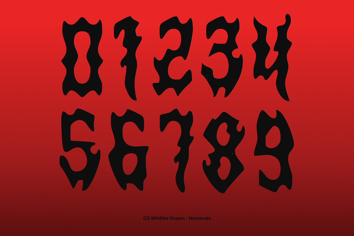 CS Wildfire Drawn, a Blackletter Font by Craft Supply Co. (Photo 4 of 8)