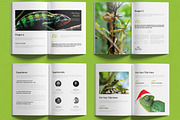 Minimalist Green Portfolio Layout, a Brochure Template by MightyDesign (Thumbnail 3 of 6)